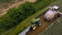 Come programmare raccolta e trincee per l’insilato di triticale