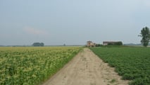 Esproprio terreno agricolo 2026: come difendere il valore