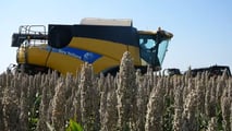 Scelta di ibridi di sorgo e regolazioni di seminatrici, mietitrebbie e logistica aziendale in rotazione tecnica con il mais