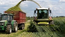 Triticale insilato per biogas: gestione di campo e raccolta 2026