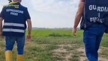 Approvata dalla Camera la legge sulla tutela prodotti agroalimentari: introdotti i reati di frode alimentare e commercio con segni mendaci