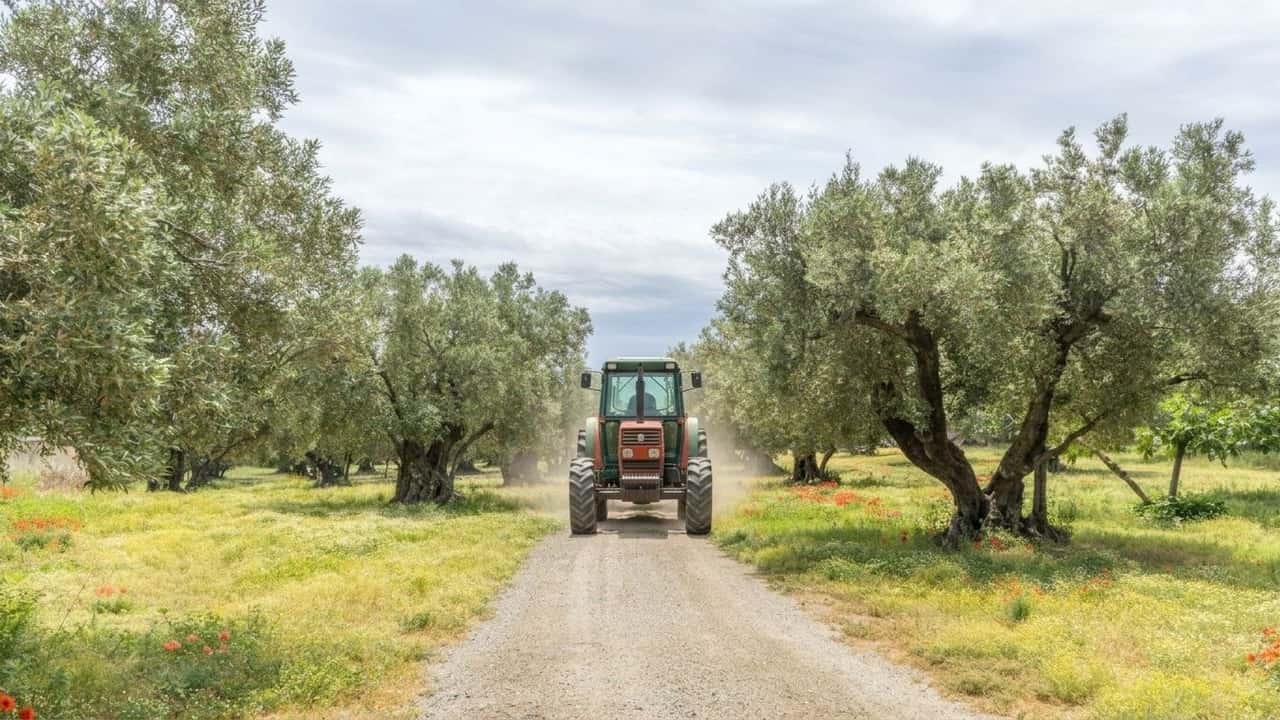 25-milioni-per-la-viabilita-agricola-il-tuo-comune-ce