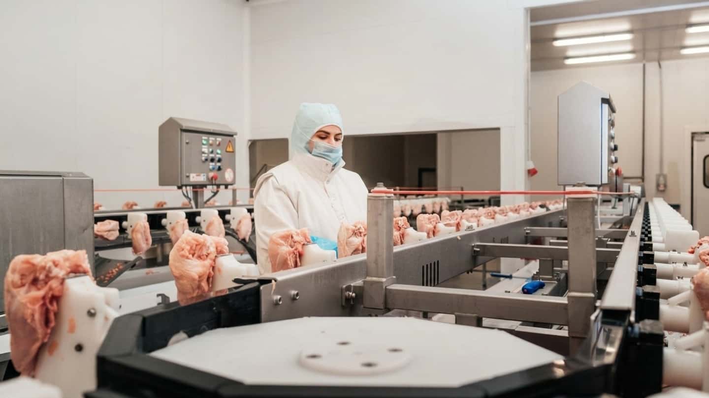Passaggi interni Iva tra allevamento avicolo e spaccio