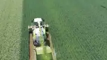 Prova varietale Seminard: dalla semina di novembre alla trinciatura, il confronto in campo tra frumento e triticale foraggeri.