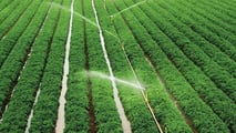 rrigazione digitale: risparmia 20% gasolio e acqua in campo