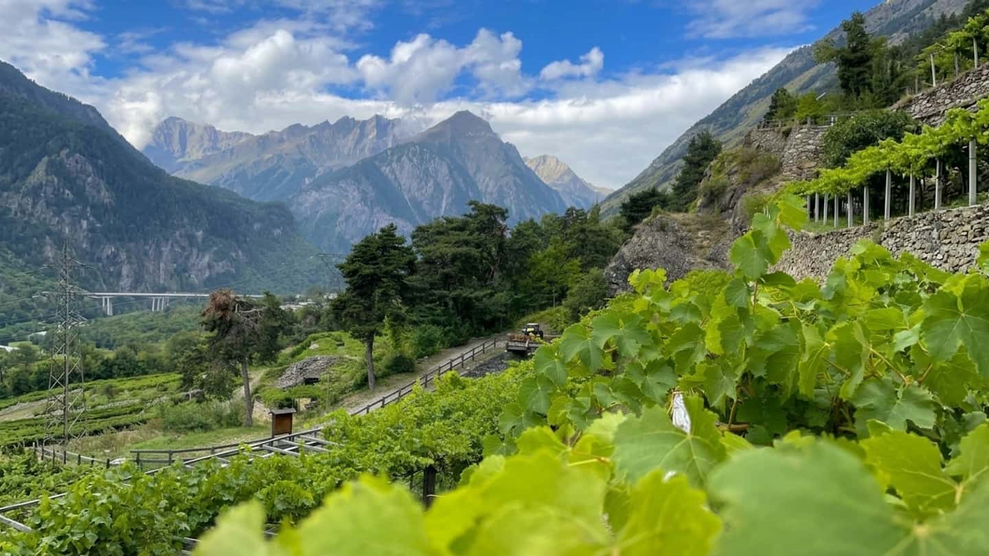 Agri28 Valle d'Aosta e nuova programmazione europea agricola