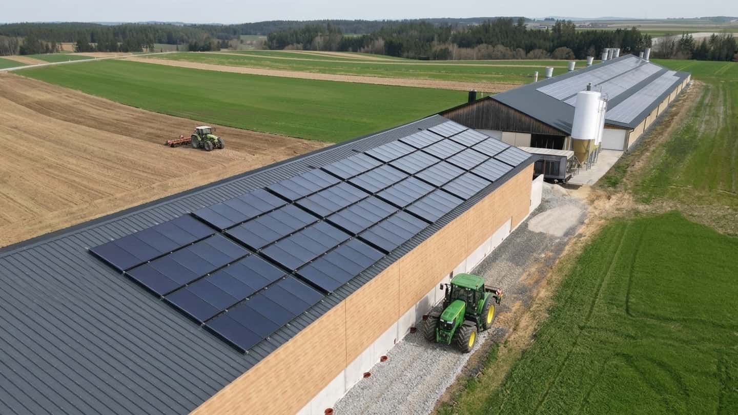 Veneto, contributi SRD01 ai giovani agricoltori per l’efficienza energetica