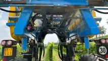 Foto - New Holland Braud 9090 L vendemmiatrice polivalente