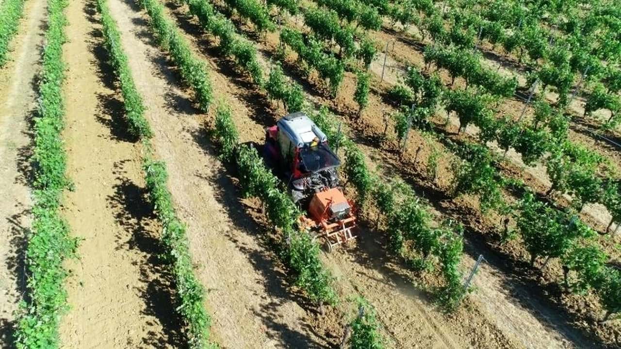  Rinieri: porta utensili TurboEvo e 4.0 a Enovitis in Campo 2023