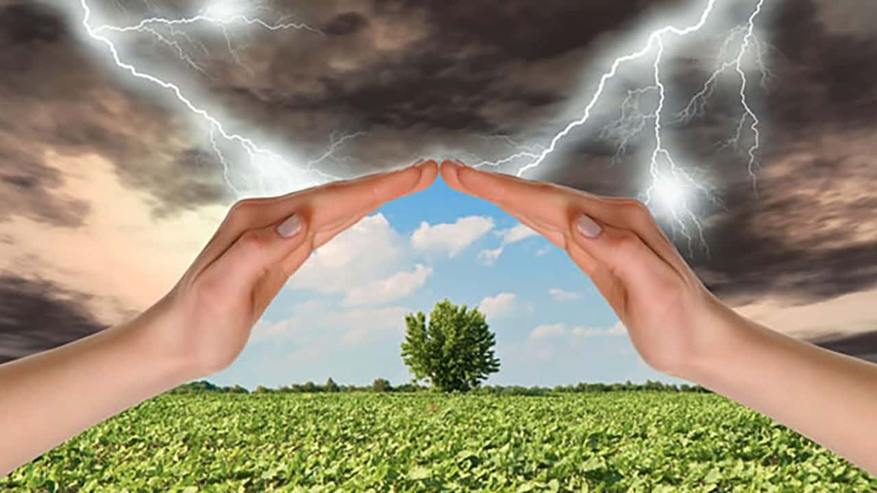 assicurazioni agricoltura
