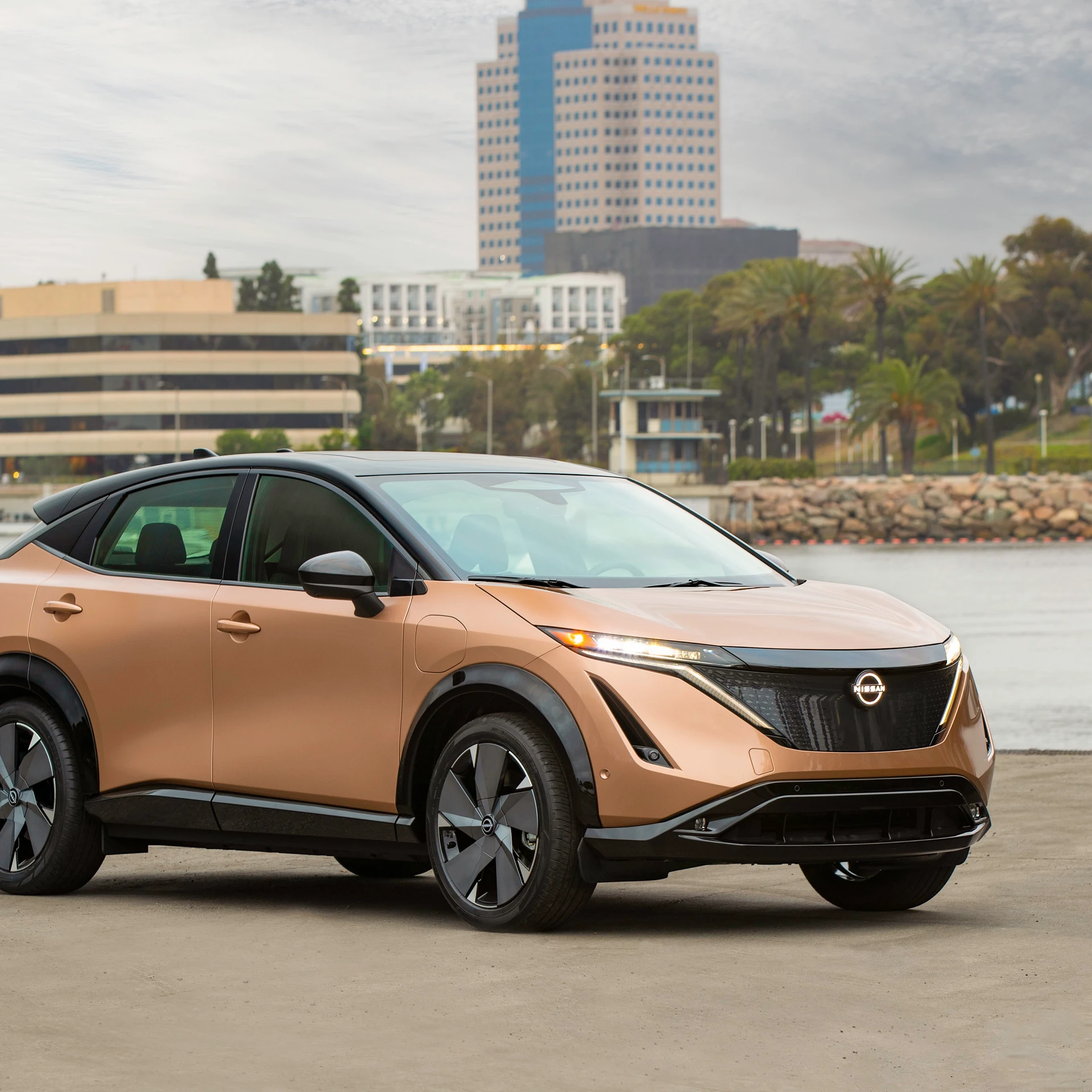 Nissan Ariya Problems: Common Issues You Must Know About