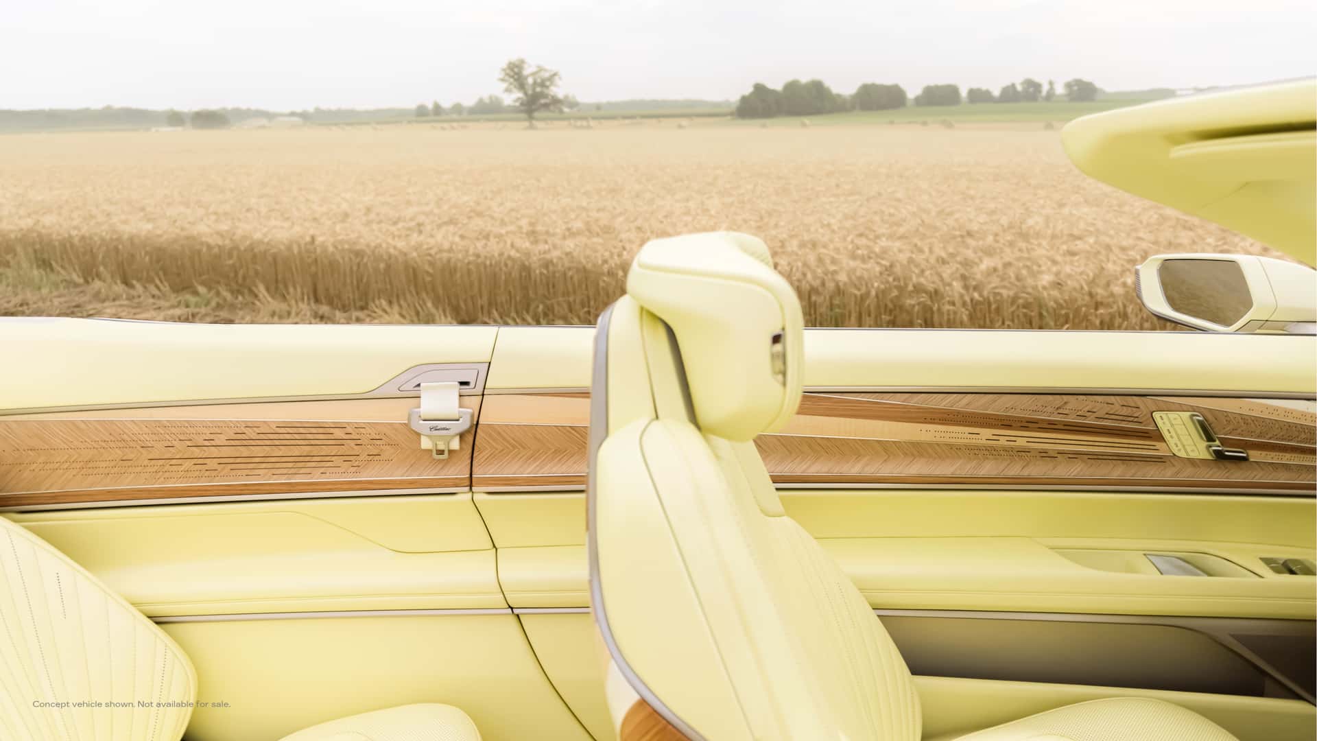 cadillac-sollei-concept.jpg