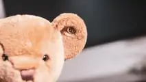 Bentley bears