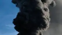 Planet Farms distrutta da un incendio