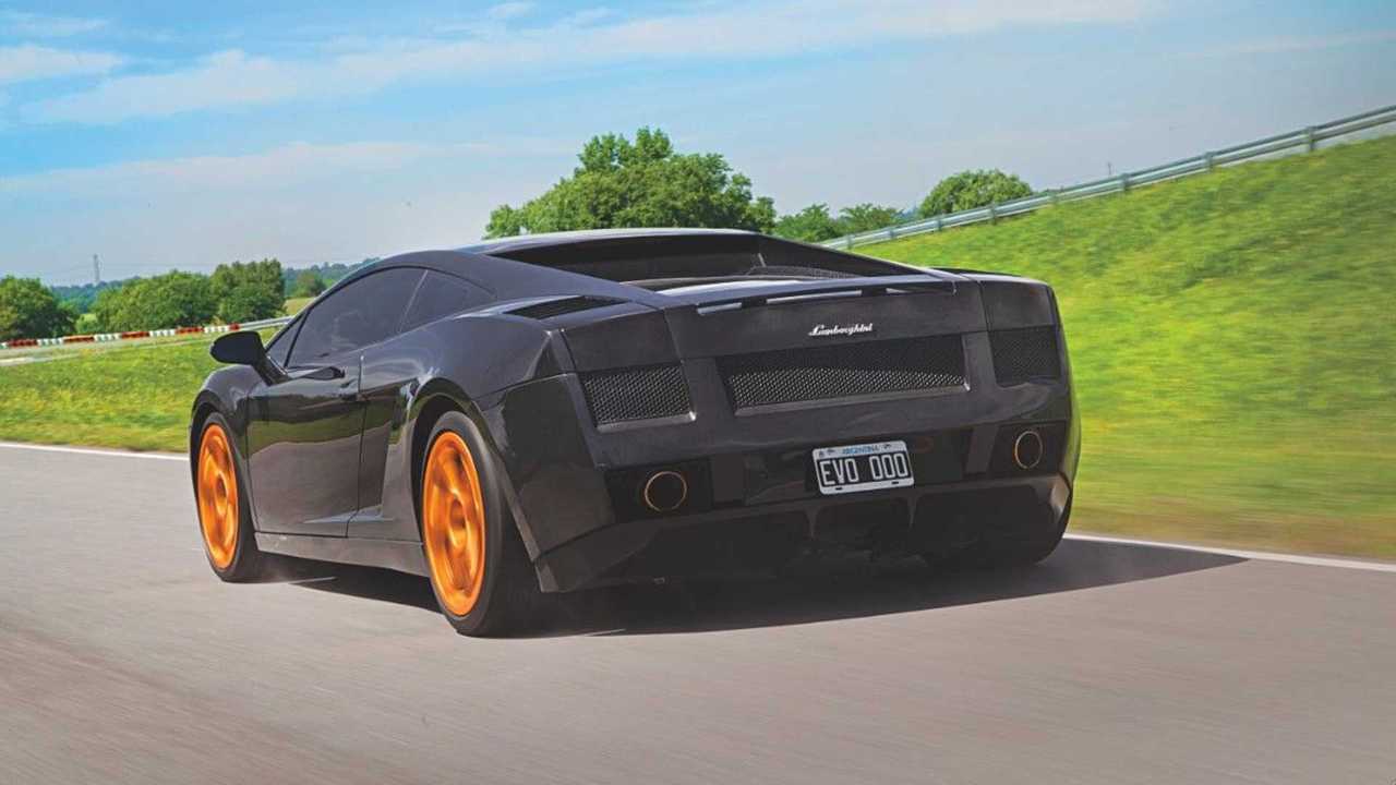 evo gallardo