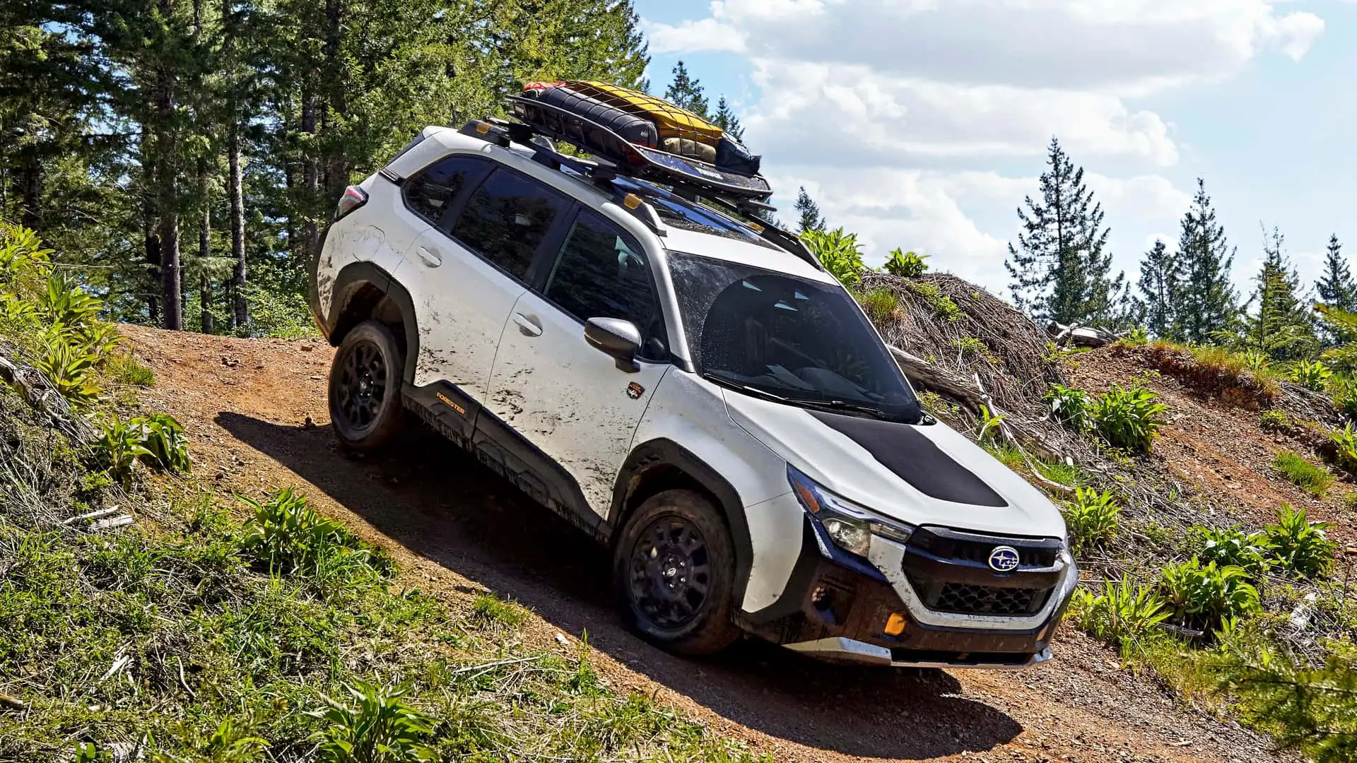 https://cdn.motor1.com/images/mgl/2NQX0B/s1/2025-subaru-forester-wilderness.webp
