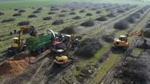 Escavatori JCB: abbattono un frutteto