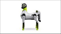 Xpeng Robot Pony