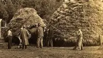 Gli albori della trebbiatura meccanica