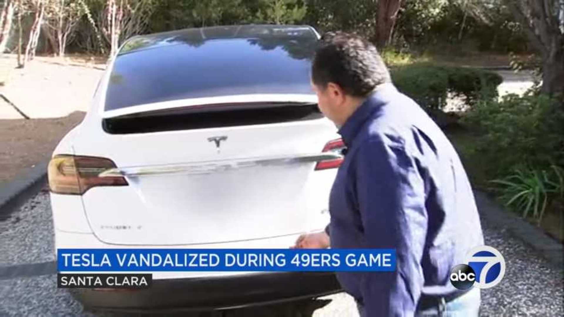 This 49ers Supporter Can