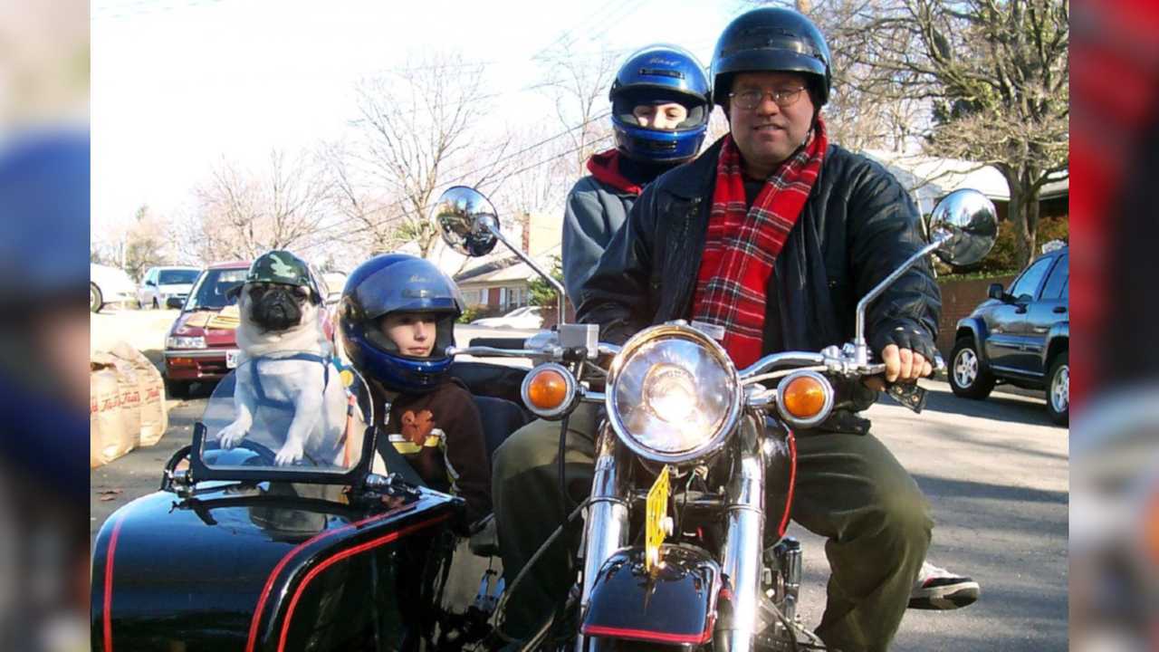 Dog In Sidecar With Family