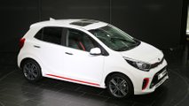 2017 Kia Picanto