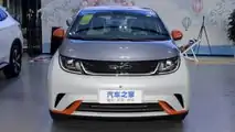 BYD Dolphin 2021
