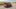 Kia Sportage restyling 2019