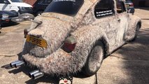 1978 VW Beetle 
