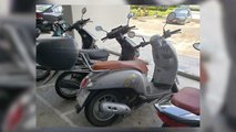 Honda Scoopy