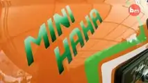 Mini Haha