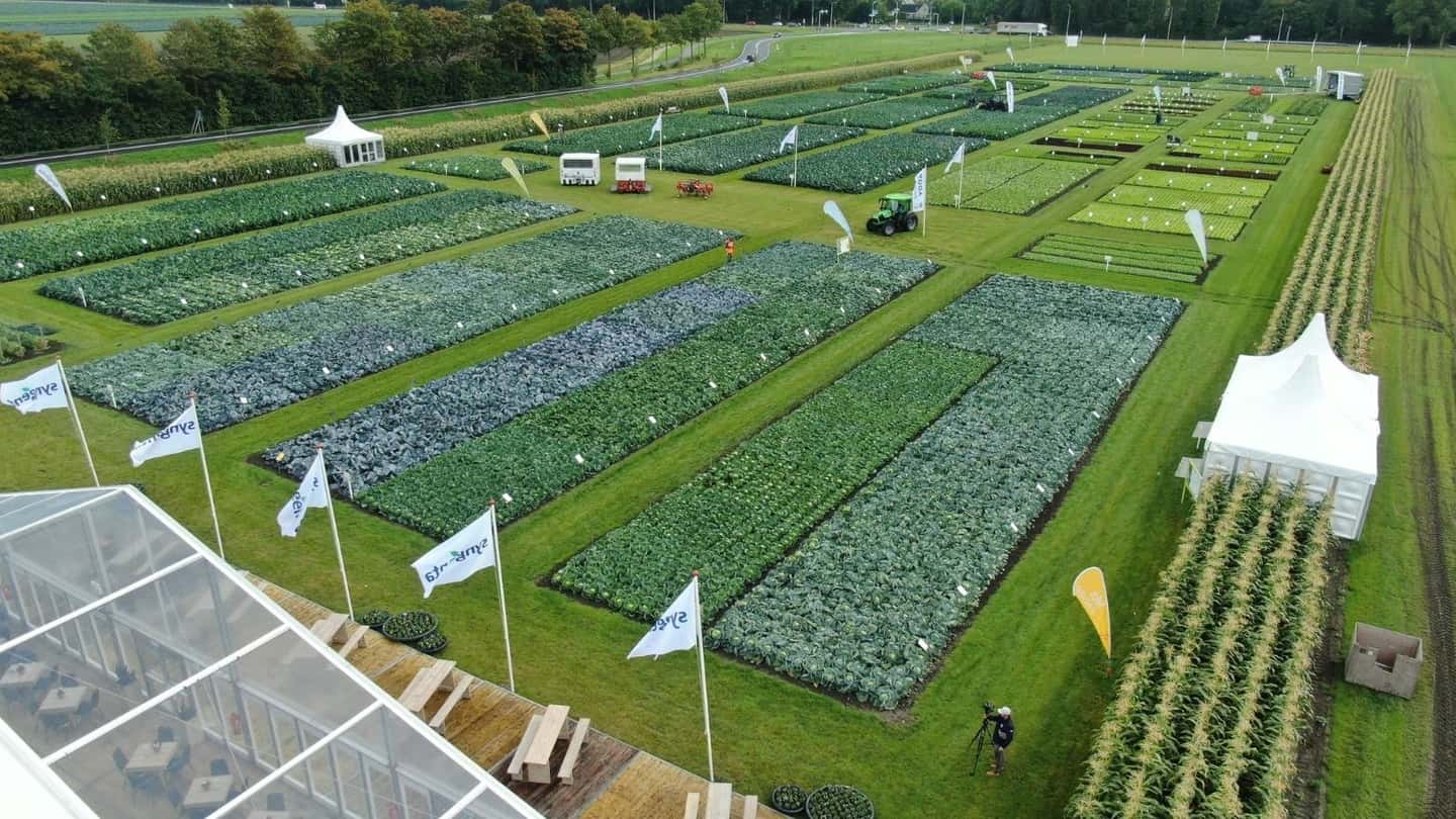 Fields of Innovation 2026 di Syngenta Vegetable Seeds