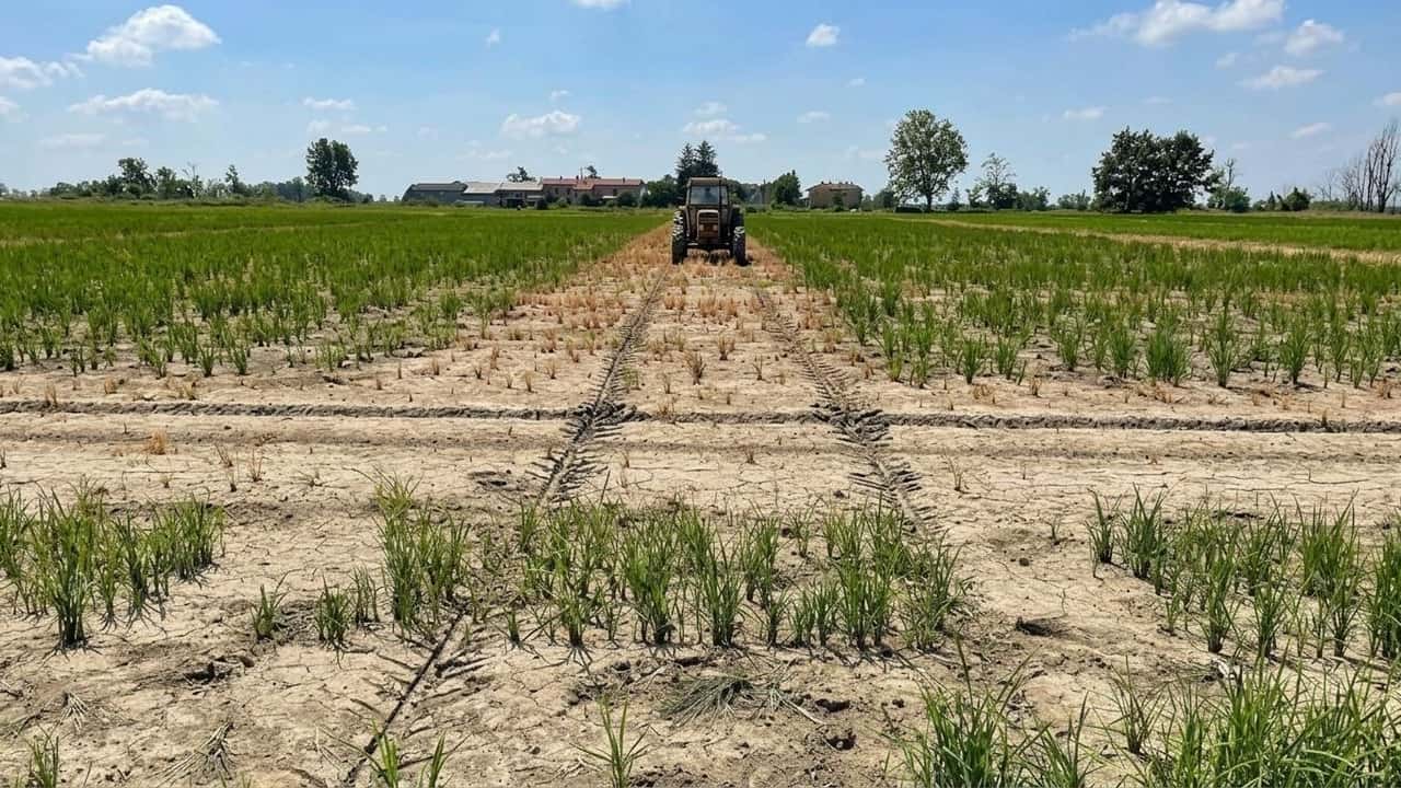 piemonte-20-milioni-alle-aziende-agricole-chi-li-prende