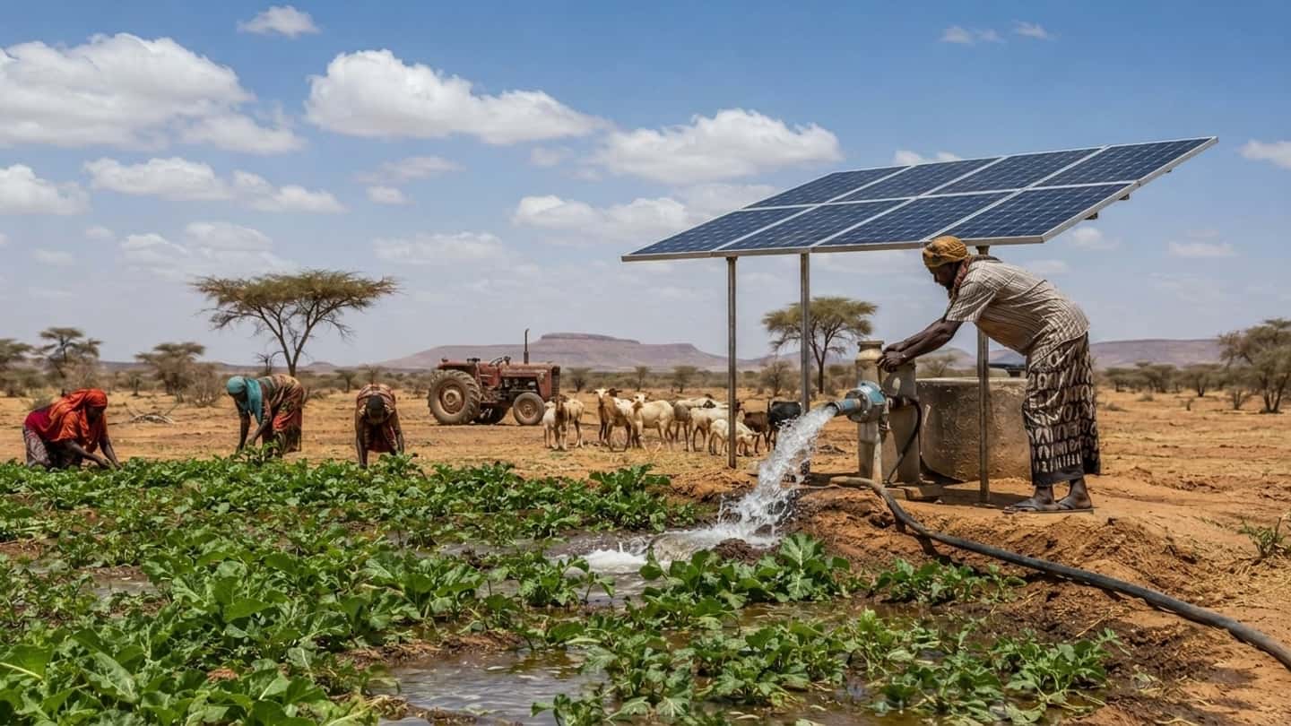 Etiopia e Italia, cosa significa la nuova cooperazione agricola