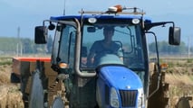 
Guida pratica per integrare sensori, app, dati satellitari e macchine agricole nella gestione digitale e data driven della risaia

