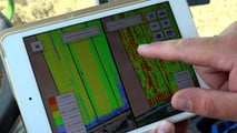 Semina mais 2026: guida pratica a concime starter e dosi variabili