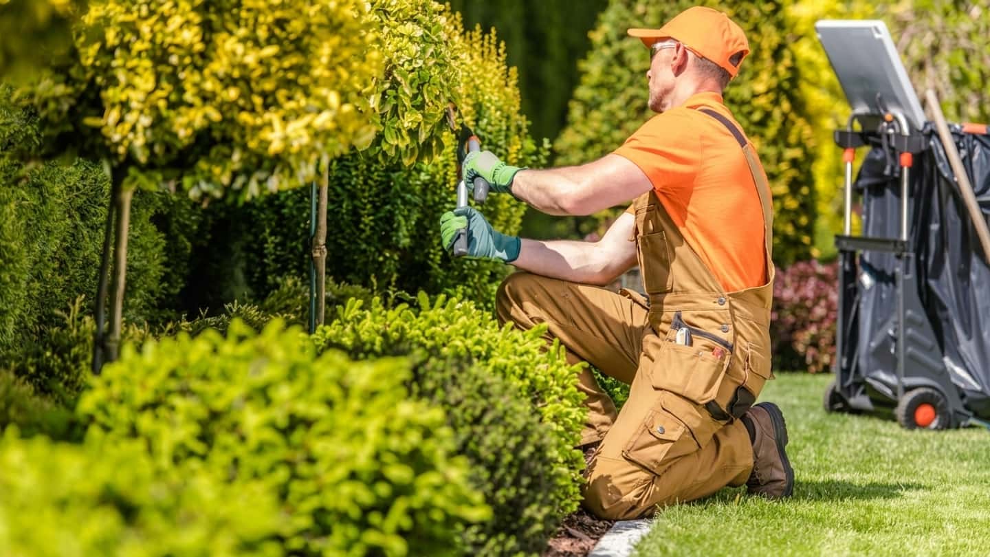 Ccnl Agricoltura operai per i dipendenti di giardinieri