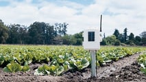 Biostimolanti e adattamento climatico nelle aziende ortofrutticole