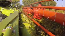 Scelte tra deroghe, attrezzature di diserbo e alternative agronomiche per pianificare il disseccamento chimico della soia in coerenza con il quadro europeo
