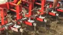 Pomodoro da industria sostenibile: irrigazione, suolo e meccanizzazione