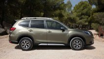 Prueba Subaru Forester Hybrid Executive Plus