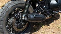 Royal Enfield Bear 650 (2025)