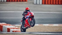 2024 Honda CBR650R - Wheelie