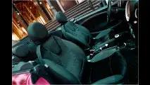 Leoparden-Mini in Wien