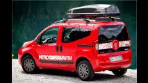 Erste Bilder vom Panda