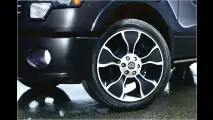 Schlangenhaut-Pick-up