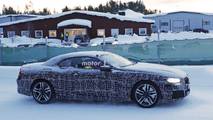 BMW 8 Serisi Cabrio casus fotoğraf