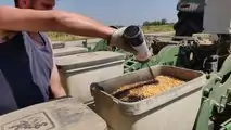 Seminatrice Kinze strip tillage