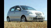 Würziger Winzling