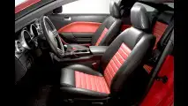 Entfesselter Mustang